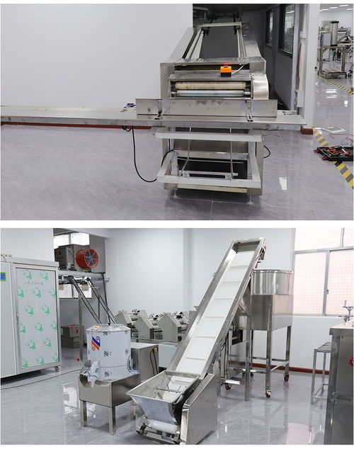 重庆食品加工与健康康复设备 面条生产与物理治疗的现代化融合